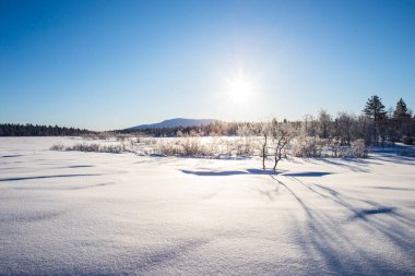 Winter landscape in Pallas Yllastunturi National Park, Lapland, northern Finland.