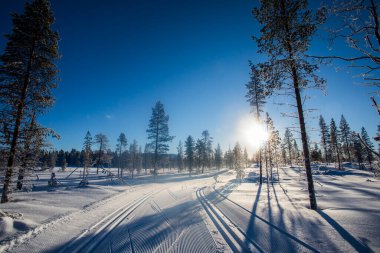 Pallas Yllastunturi Ulusal Parkı, Laponya, Finlandiya 'da kış manzarası