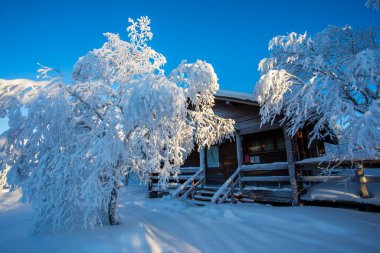 Pallas Yllastunturi Milli Parkı, Laponya, Finlandiya 'da kayak gezisi