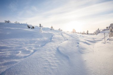 Pallas Yllastunturi Ulusal Parkı, Laponya, Finlandiya 'da kış manzarası