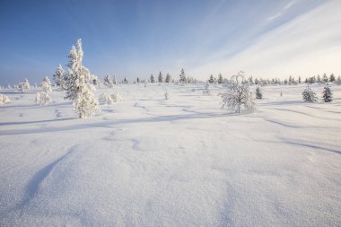 Winter landscape in Pallas Yllastunturi National Park, Lapland, northern Finland.