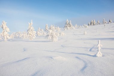 Winter landscape in Pallas Yllastunturi National Park, Lapland, northern Finland.