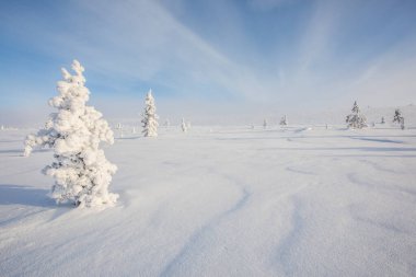 Winter landscape in Pallas Yllastunturi National Park, Lapland, northern Finland.