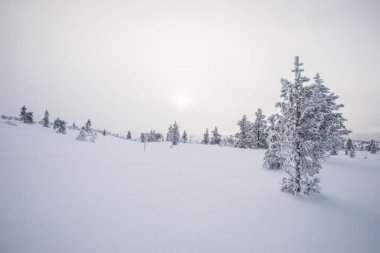 Winter landscape in Pallas Yllastunturi National Park, Lapland, northern Finland.