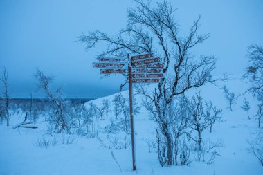 Pallas Yllastunturi Milli Parkı, Laponya, Finlandiya 'da kayak gezisi