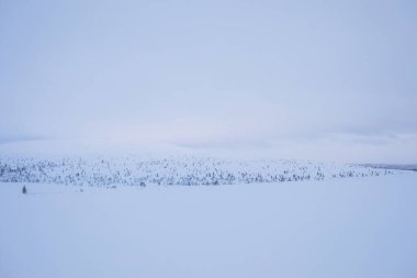 Winter landscape in Pallas Yllastunturi National Park, Lapland, northern Finland.
