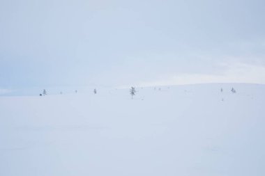 Pallas Yllastunturi Ulusal Parkı, Laponya, Finlandiya 'da kış manzarası