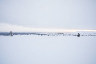 Winter landscape in Pallas Yllastunturi National Park, Lapland, Finland