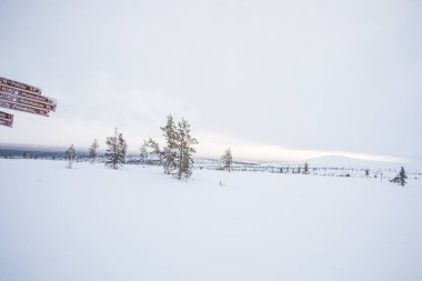 Winter landscape in Pallas Yllastunturi National Park, Lapland, northern Finland.