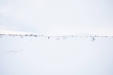 Pallas Yllastunturi Milli Parkı, Laponya, Finlandiya 'da kayak gezisi