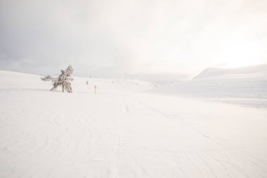 Winter landscape in Pallas Yllastunturi National Park, Lapland, Finland