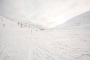 Winter landscape in Pallas Yllastunturi National Park, Lapland, northern Finland.
