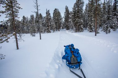 Ski expedition in Pallas Yllastunturi National Park, Lapland, northern Finland.