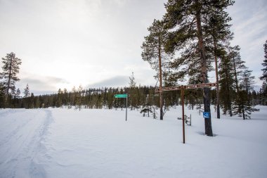 Ski expedition in Pallas Yllastunturi National Park, Lapland, northern Finland.