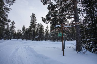 Ski expedition in Pallas Yllastunturi National Park, Lapland, northern Finland.