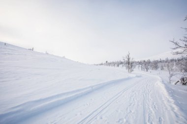 Winter landscape in Pallas Yllastunturi National Park, Lapland, northern Finland.