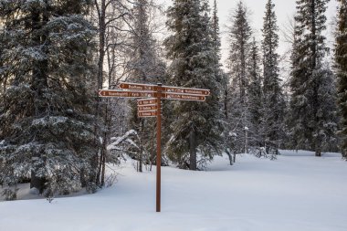Ski expedition in Pallas Yllastunturi National Park , Lapland, Finland
