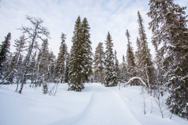 Winter landscape in Pallas Yllastunturi National Park, Lapland, northern Finland.