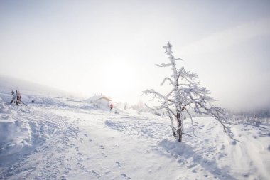 Winter landscape in Pallas Yllastunturi National Park, Lapland, northern Finland.