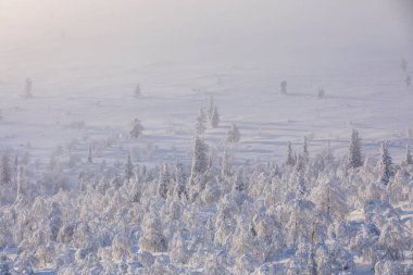 Winter landscape in Pallas Yllastunturi National Park, Lapland, northern Finland.