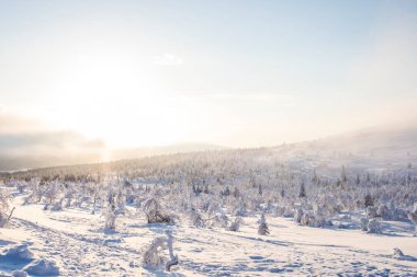 Winter landscape in Pallas Yllastunturi National Park, Lapland, Finland