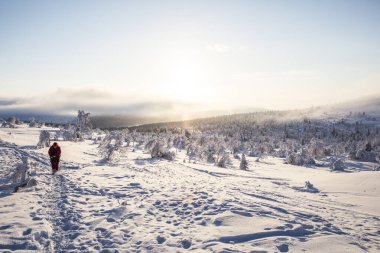Winter landscape in Pallas Yllastunturi National Park, Lapland, Finland