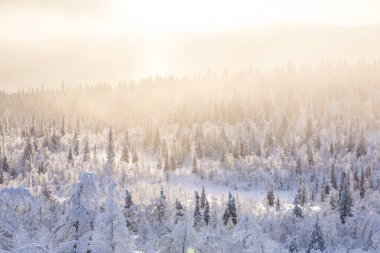 Winter landscape in Pallas Yllastunturi National Park, Lapland, northern Finland.