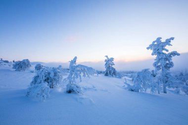 Winter landscape in Pallas Yllastunturi National Park, Lapland, northern Finland.