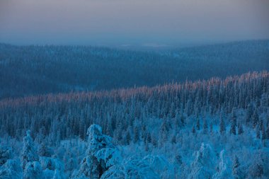 Winter sunrise in Pallas Yllastunturi National Park, Lapland, Finland