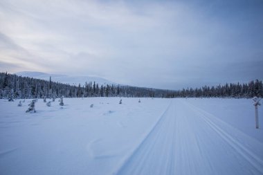 Winter landscape in Pallas Yllastunturi National Park, Lapland, northern Finland.