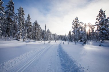 Pallas Yllastunturi Ulusal Parkı, Laponya, Finlandiya 'da kış manzarası