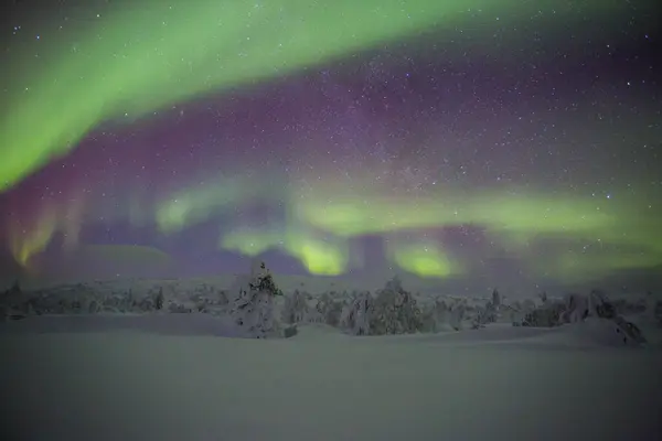 パラス ヤスタトゥリ国立公園 ラップランド フィンランド北部にある北の光 — ストック写真