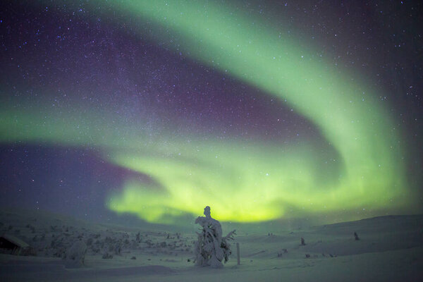 Northern lights in Pallas Yllastunturi National Park, Lapland, northern Finland