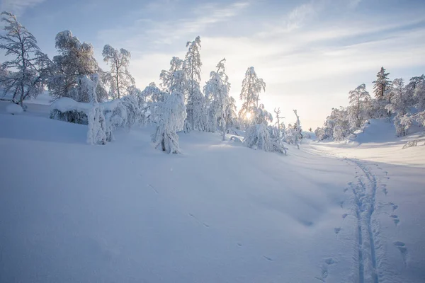 Winter landscape in Pallas Yllastunturi National Park, Lapland, Finland