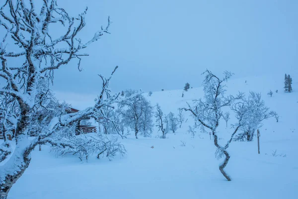 Χειμερινό Τοπίο Στο Εθνικό Πάρκο Pallas Yllastunturi Λαπωνία Φινλανδία — Φωτογραφία Αρχείου