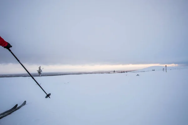 Ski Expedition Pallas Yllastunturi National Park Lapland Northern Finland — Photo