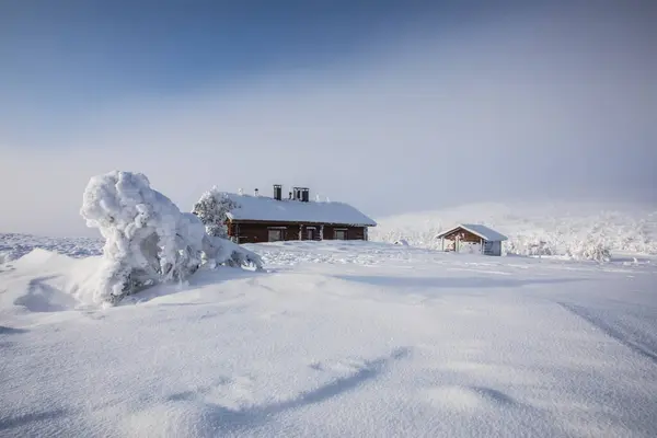 Ski Expedition Pallas Yllastunturi National Park Lapland Northern Finland — 스톡 사진