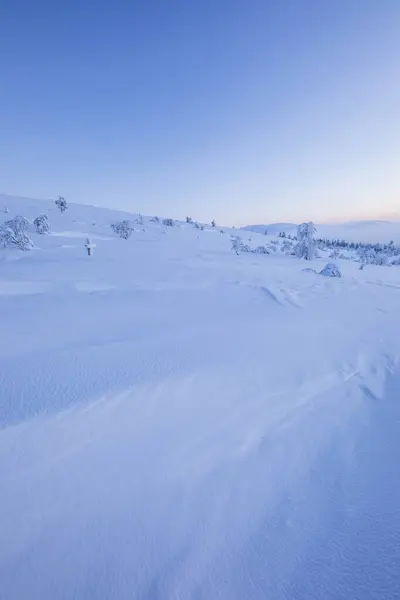 Winter Landscape Pallas Yllastunturi National Park Lapland Northern Finland — 스톡 사진