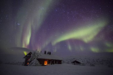 Northern lights in Pallas Yllastunturi National Park, Lapland, northern Finland