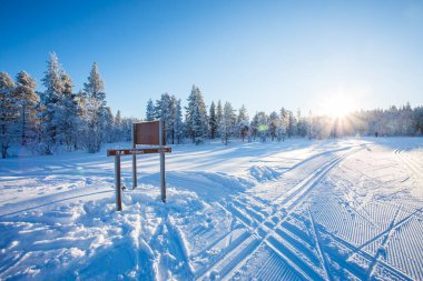 Pallas Yllastunturi Milli Parkı, Laponya, Finlandiya 'da kayak gezisi