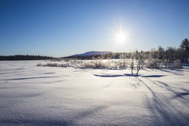 Winter landscape in Pallas Yllastunturi National Park, Lapland, northern Finland.