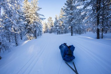 Pallas Yllastunturi Milli Parkı, Laponya, Finlandiya 'da kayak gezisi