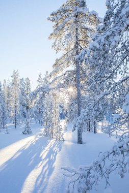 Winter landscape in Pallas Yllastunturi National Park, Lapland, northern Finland.