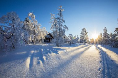 Ski expedition in Pallas Yllastunturi National Park, Lapland, northern Finland.