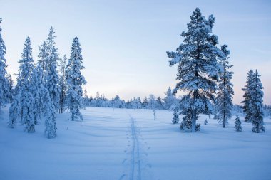 Winter landscape in Pallas Yllastunturi National Park, Lapland, northern Finland.