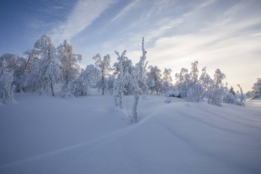 Winter landscape in Pallas Yllastunturi National Park, Lapland, northern Finland.