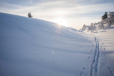 Pallas Yllastunturi Ulusal Parkı, Laponya, Finlandiya 'da kış manzarası