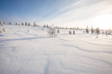 Winter landscape in Pallas Yllastunturi National Park, Lapland, northern Finland.