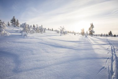 Winter landscape in Pallas Yllastunturi National Park, Lapland, northern Finland.