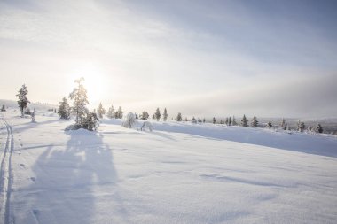 Winter landscape in Pallas Yllastunturi National Park, Lapland, northern Finland.
